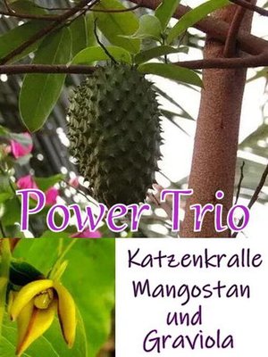 cover image of Power Trio